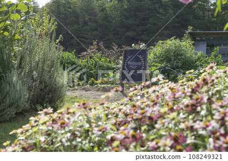 Sera Kogen Flower Forest Rose Garden 108249321