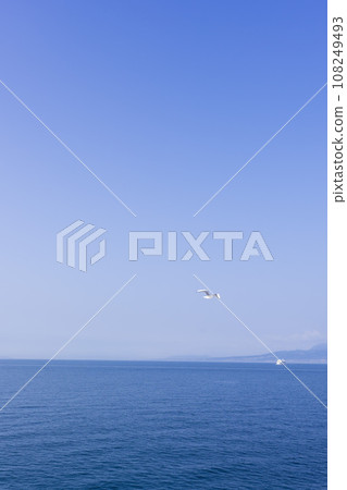 Morning sky and wild birds (seagulls) Ferry voyage against the backdrop of a bright spring sky (Shimabara City, Nagasaki Prefecture, Kumamoto Prefecture, Ariake Sea) 108249493