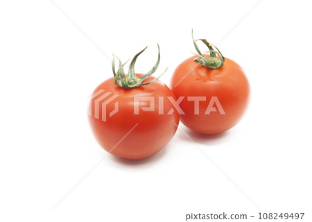 首次在菜園收穫櫻桃番茄 108249497