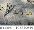 Twigs and nuts arranged on a large stone 108249649