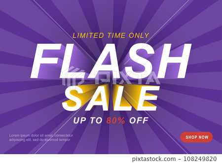 Flash deal today only sale special offer Vector Image