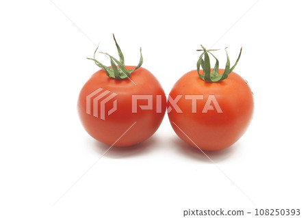 首次在菜園收穫櫻桃番茄 108250393