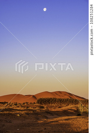 Sunrise and clear horizon in the Sahara desert of Morocco Sunrise and clear horizon in the Sahara desert of Morocco 108251284