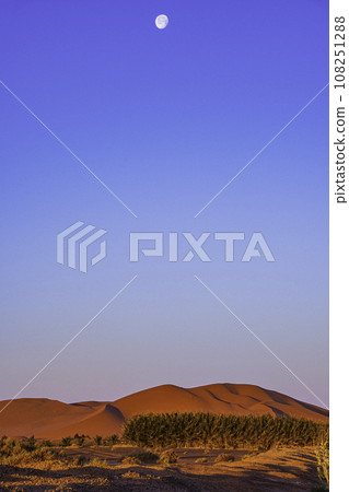 Sunrise and clear horizon in the Sahara desert of Morocco Sunrise and clear horizon in the Sahara desert of Morocco 108251288