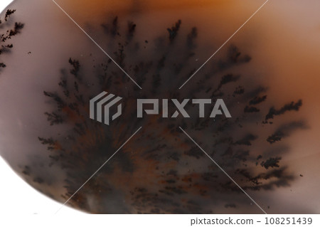 Macro mineral stone Moss Agate, Agata muschiataan 108251439