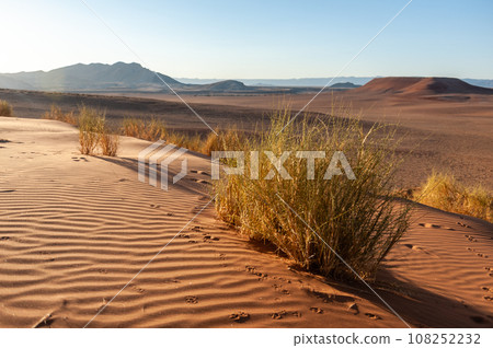 The Namibian Desert near Cha-re The Namibian Desert near Cha-re 108252232