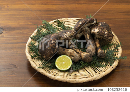 Matsutake mushrooms placed in a colander_Background board 108252616