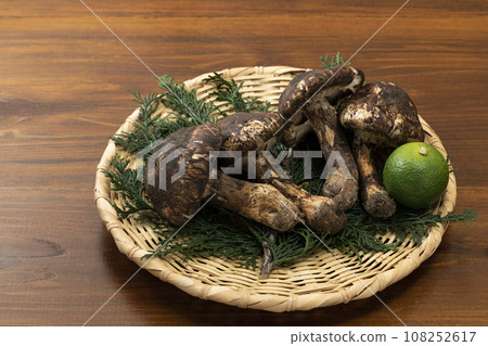 Matsutake mushrooms placed in a colander_Background board 108252617