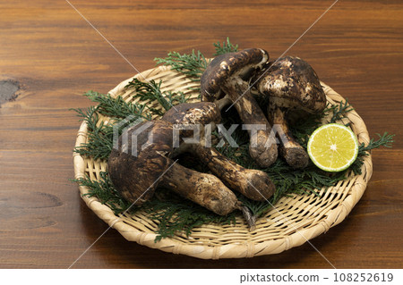 松茸蘑菇放在漏杓_背景板上 108252619