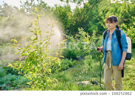 Woman gardener with spray backpack sprays pear tree in garden Woman gardener with spray backpack sprays pear tree in garden 108252862