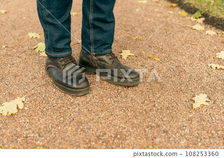 woman are leisurely strolling along the paths of the autumn park woman are leisurely strolling along the paths of the autumn park 108253360