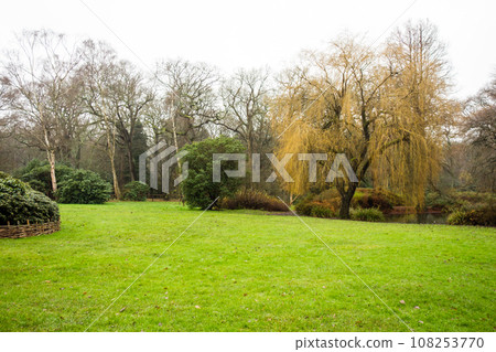 A spacious lawn under a cloudy sky and autumn-colored trees in Richmond Park on the outskirts of London. A spacious lawn under a cloudy sky and autumn-colored trees in Richmond Park on the outskirts of London. 108253770