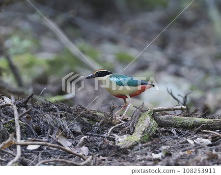 Yarosteos Yarosteos 108253911
