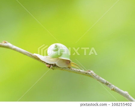 青之岡西 108255402