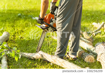 Hands of a man holding a chainsaw and saw logs. 108256209