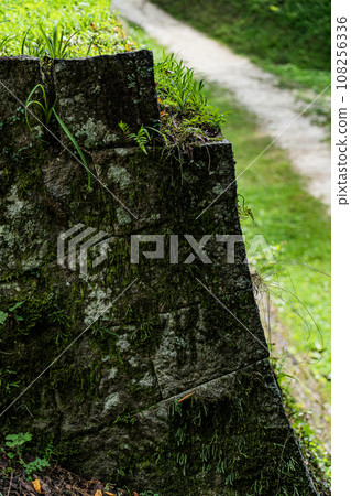 Ishigaki of Iwamura castle ruins 108256336