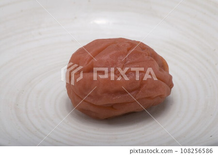 梅 梅 108256586