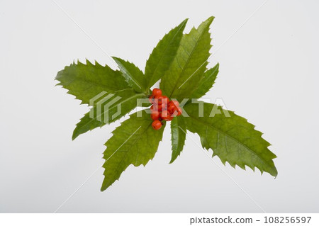 Thousands of people Thousands of people 108256597