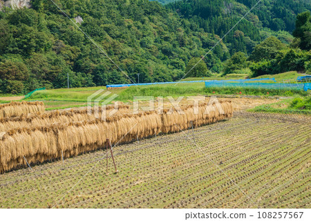 Autumn folding screen [Yasaka, Omachi City] 108257567