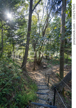 現在看到的城堡遺址 108257605