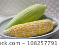 玉米 108257791
