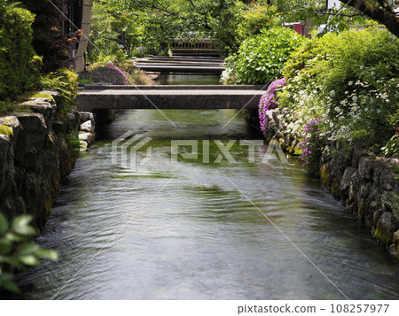 [High resolution] Jizo River in Samae-juku where bright flowers bloom 108257977