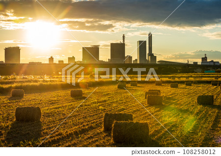 "Saitama Prefecture" Evening view of Minuma rice field rice straw roll 108258012