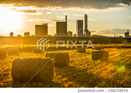 "Saitama Prefecture" Evening view of Minuma rice field rice straw roll 108258016