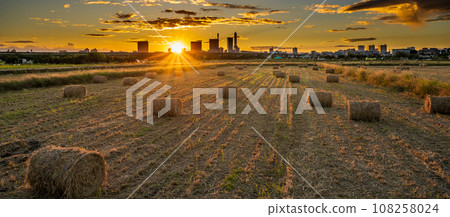"Saitama Prefecture" Evening view of Minuma rice field rice straw roll 108258024