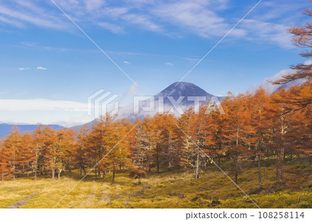 落葉松林和蓼科山秋葉 108258114