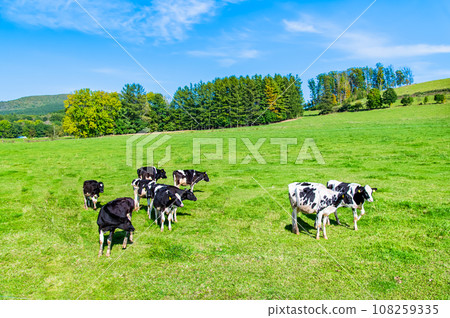 Scenery of blue sky and green earth 108259335