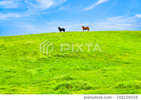 Scenery of blue sky and green earth 108259338