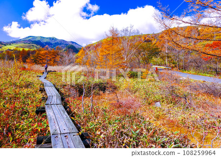 Autumn leaves around Pond of Arms Autumn leaves around Pond of Arms 108259964
