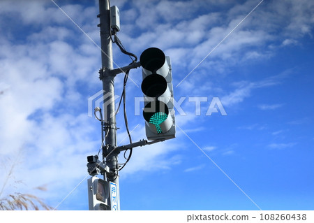 Traffic light (vertical) 108260438