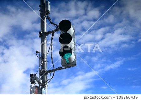 Traffic light (vertical) Traffic light (vertical) 108260439