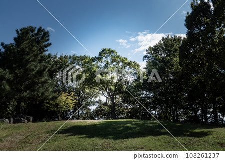 blue sky and green blue sky and green 108261237