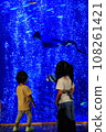 Child watching stingrays at the aquarium 108261421