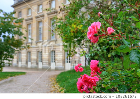 The Rose of Versailles in the Petit Trianon of the Palace of Versailles, a world cultural heritage site in the heart of the Bourbon dynasty on the outskirts of Paris, France The Rose of Versailles in the Petit Trianon of the Palace of Versailles, a world cultural heritage site in the heart of the Bourbon dynasty on the outskirts of Paris, France 108261672