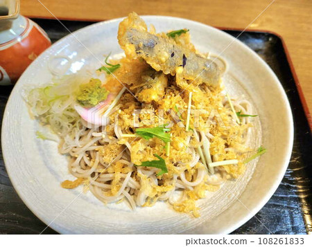 Tanuki noodles Tanuki noodles 108261833