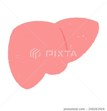 手繪肝臟插畫 108261929
