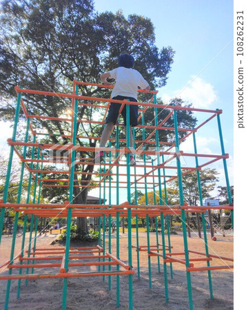 Jungle gym Jungle gym 108262231