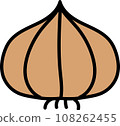 cute and simple onions 108262455