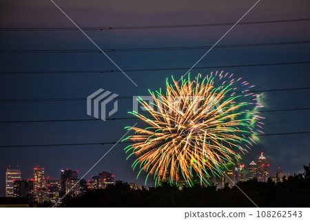 Japan's Tokyo cityscape Tama River Fireworks Festival for the first time in four years. The 45th Setagaya Ward Tamagawa Fireworks Festival venue side/Tokyo Metropolitan Government Building in the back = 21st Japan's Tokyo cityscape Tama River Fireworks Festival for the first time in four years. The 45th Setagaya Ward Tamagawa Fireworks Festival venue side/Tokyo Metropolitan Government Building in the back = 21st 108262543