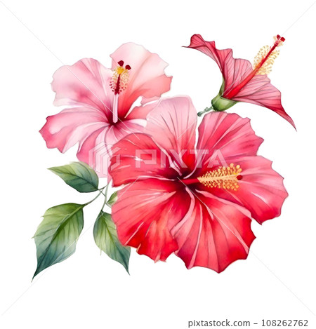 Watercolor set of pink and red hibiscus flowers 108262762
