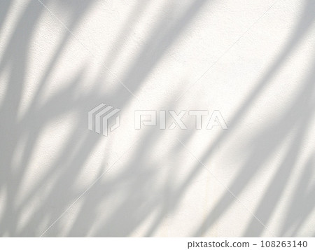 Abstract shadow of leaves on wall background 108263140