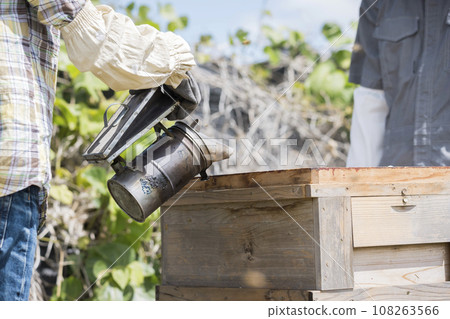 Beekeeping image: Woman using a smoker 108263566