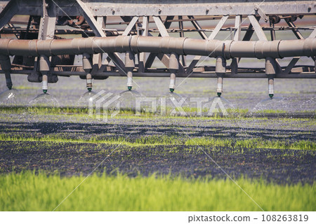 Green farm sprinkler automatic Watering machine Rice Field Green agriculture ecosystem Asian rice paddy field Thailand green farm. Harvest agriculture planting cultivation green rice terraces garden Green farm sprinkler automatic Watering machine Rice Field Green agriculture ecosystem Asian rice paddy field Thailand green farm. Harvest agriculture planting cultivation green rice terraces garden 108263819