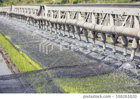 Green farm sprinkler automatic Watering machine Rice Field Green agriculture ecosystem Asian rice paddy field Thailand green farm. Harvest agriculture planting cultivation green rice terraces garden 108263820