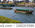 Rows of cherry blossom trees in full bloom and houseboats gathering for cherry blossom viewing 108263986