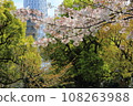 Cherry blossoms in full bloom along the Sumida River 108263988
